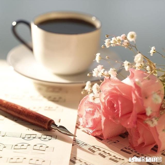 你感觉生命中多少时间是在生活,多少时间是在活着