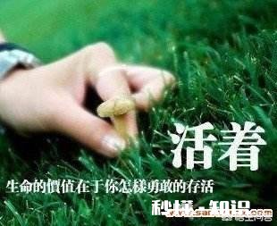 你感觉生命中多少时间是在生活,多少时间是在活着