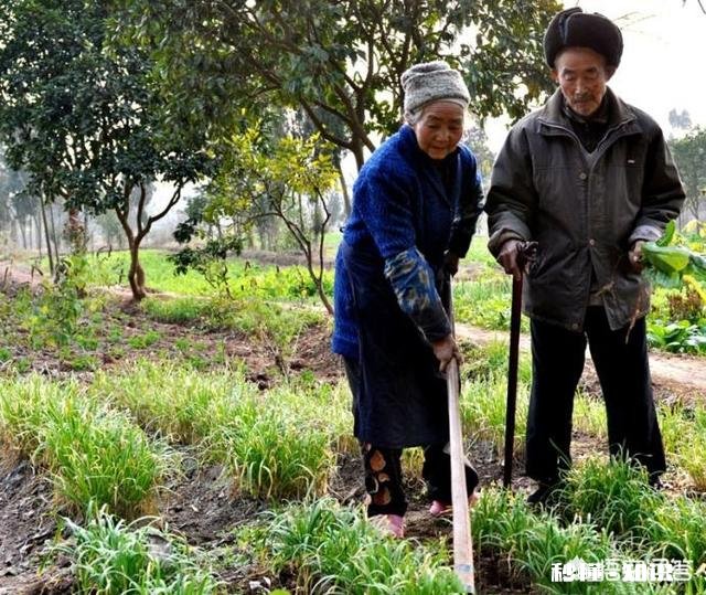 农村老人宁愿自己辛苦，也不张嘴给子女要钱，为什么