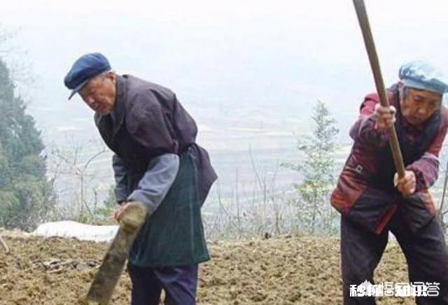 农村老人宁愿自己辛苦，也不张嘴给子女要钱，为什么