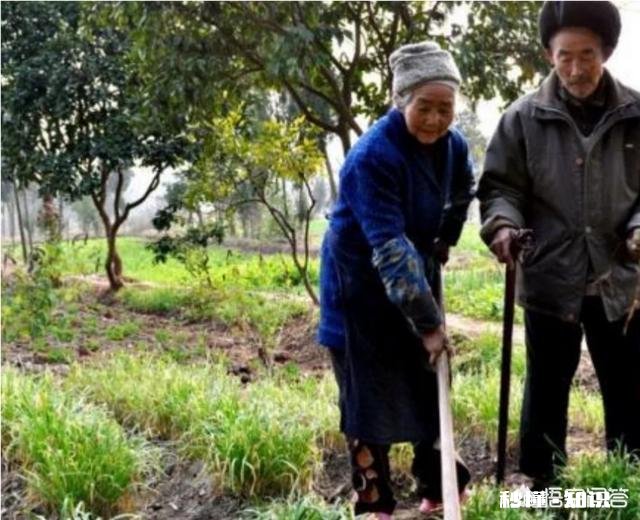 农村老人宁愿自己辛苦，也不张嘴给子女要钱，为什么