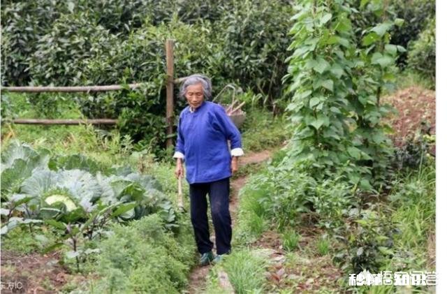农村老人宁愿自己辛苦，也不张嘴给子女要钱，为什么