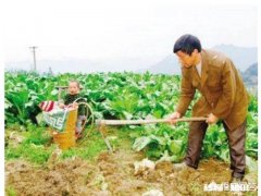 农村老人宁愿自己辛苦，也不张嘴给子女要钱，为什么