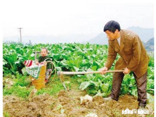 农村老人宁愿自己辛苦，也不张嘴给子女要钱，为什么