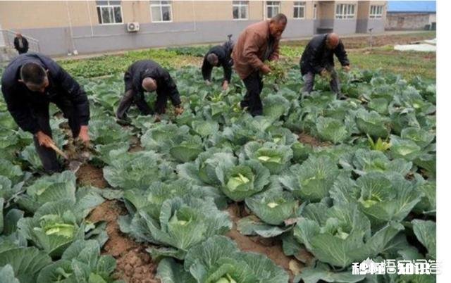 农村老人宁愿自己辛苦，也不张嘴给子女要钱，为什么