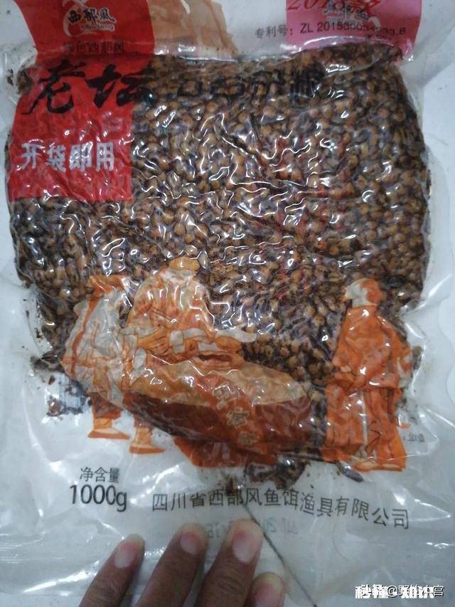 鲤鱼都吃死口吗鲤鱼逗钓可以吗