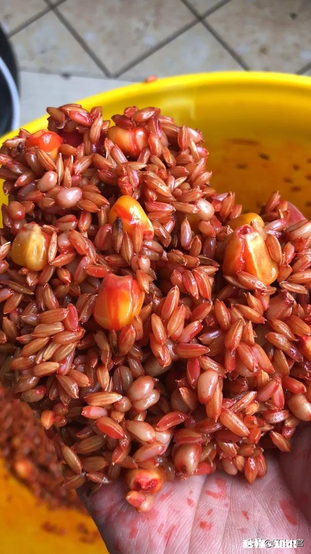 野钓草鱼鲫鱼与鲤鱼等如何调料才让鱼口更好