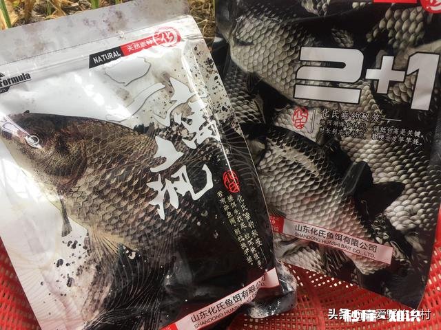 野钓草鱼鲫鱼与鲤鱼等如何调料才让鱼口更好