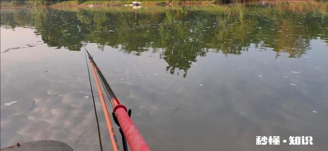 野钓草鱼鲫鱼与鲤鱼等如何调料才让鱼口更好