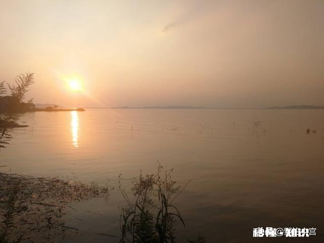 野钓草鱼鲫鱼与鲤鱼等如何调料才让鱼口更好
