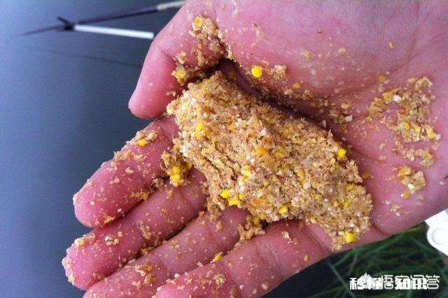 黑坑直接打窝好还是一杆一杆抽好