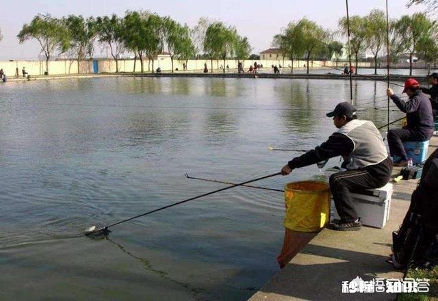 黑坑直接打窝好还是一杆一杆抽好