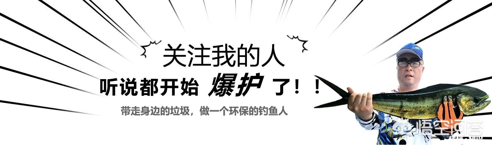 黑坑直接打窝好还是一杆一杆抽好