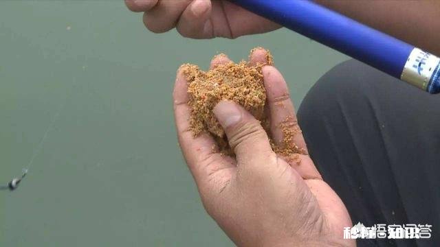 黑坑直接打窝好还是一杆一杆抽好