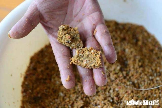 黑坑直接打窝好还是一杆一杆抽好