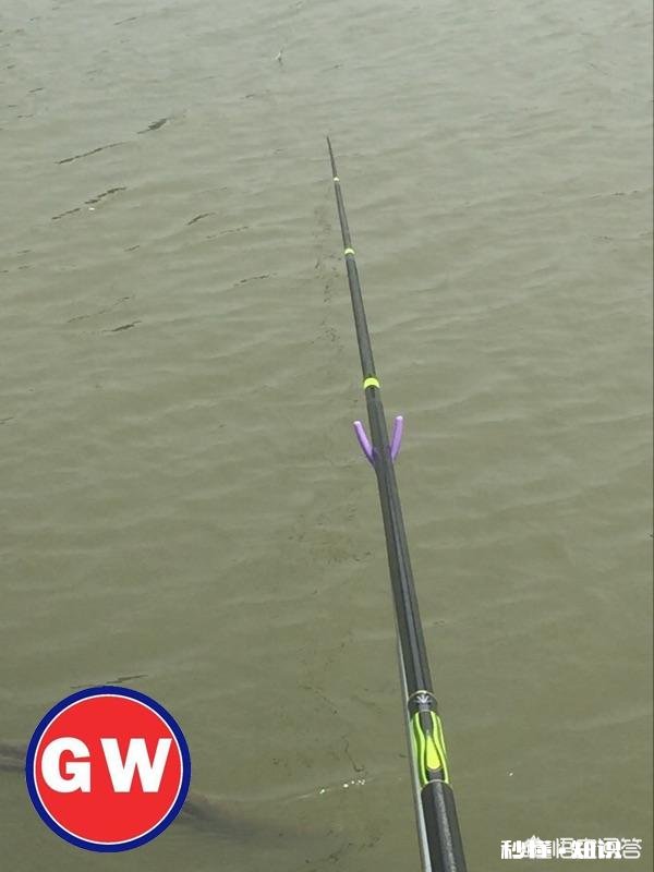 万亩水库夏季钓鲤鱼钓多深好