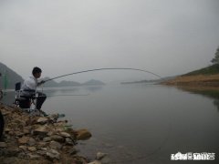 万亩水库夏季钓鲤鱼钓多深好
