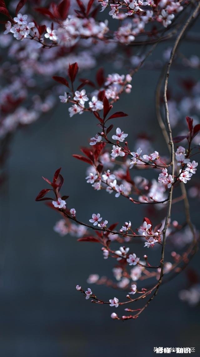 婆婆特别能装,有时候又觉得对你很好,怎么办