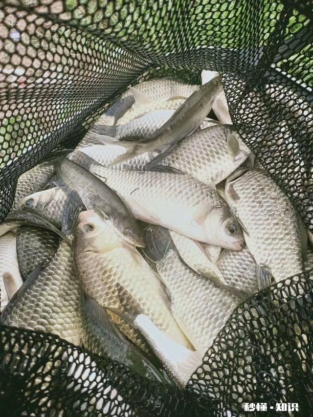 鱼竿使用中的小细节您注意了吗