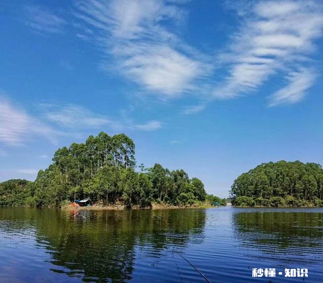 鱼竿使用中的小细节您注意了吗