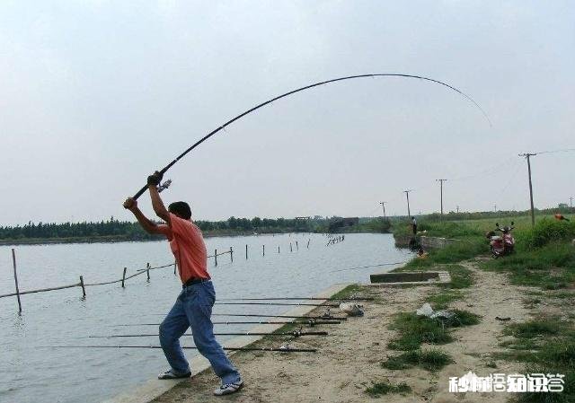 鱼竿使用中的小细节您注意了吗