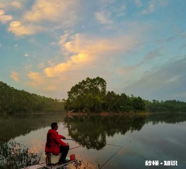 鱼竿使用中的小细节您注意了吗