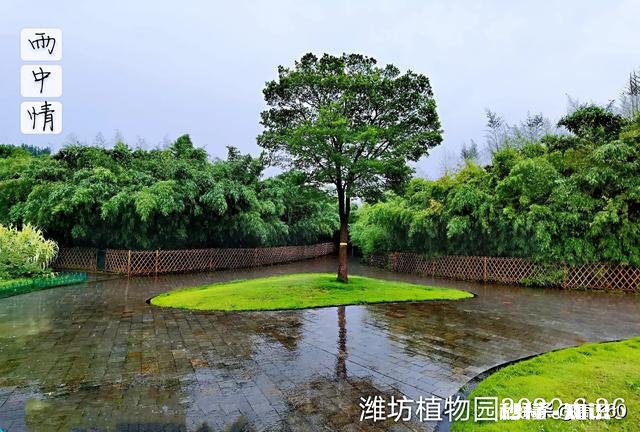雨天可以去哪拍摄