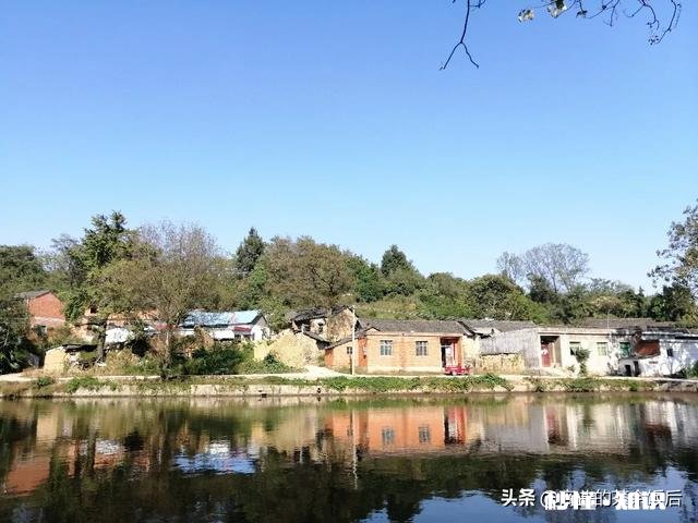 为什么懂炒股的人反而亏钱