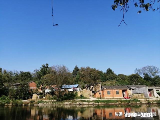 为什么懂炒股的人反而亏钱