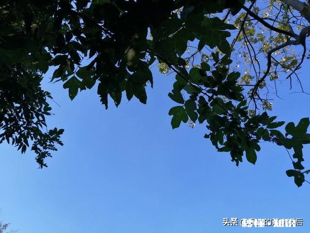 为什么懂炒股的人反而亏钱