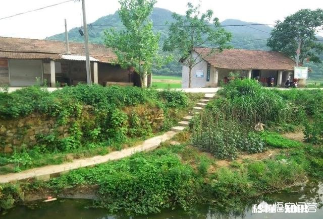 听了很多的遍的歌却记不住歌词，怎么办