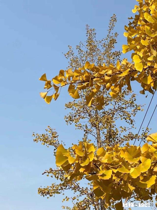 如果有一份看起来很体面的工作，但是活多挣得少而且心累，该怎么办