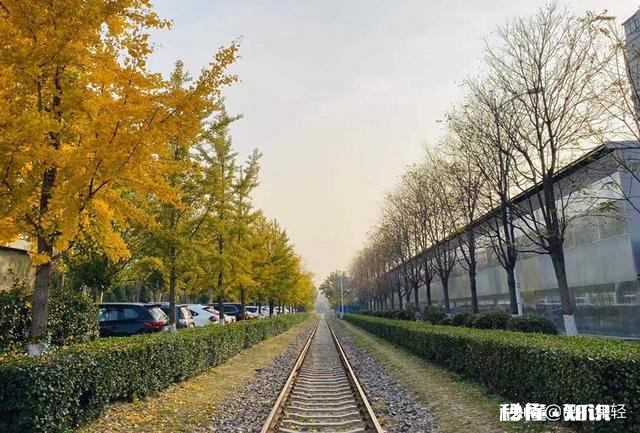 如果有一份看起来很体面的工作，但是活多挣得少而且心累，该怎么办