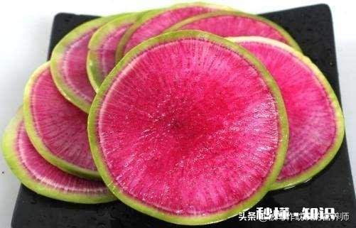 红心萝卜含糖量高吗营养价值怎么样