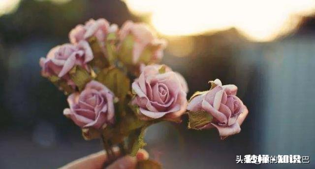 圈子好小，现实生活中。如何结识人力资源行业优秀的人呢怎么自己职场才会越来越进