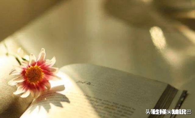 圈子好小，现实生活中。如何结识人力资源行业优秀的人呢怎么自己职场才会越来越进