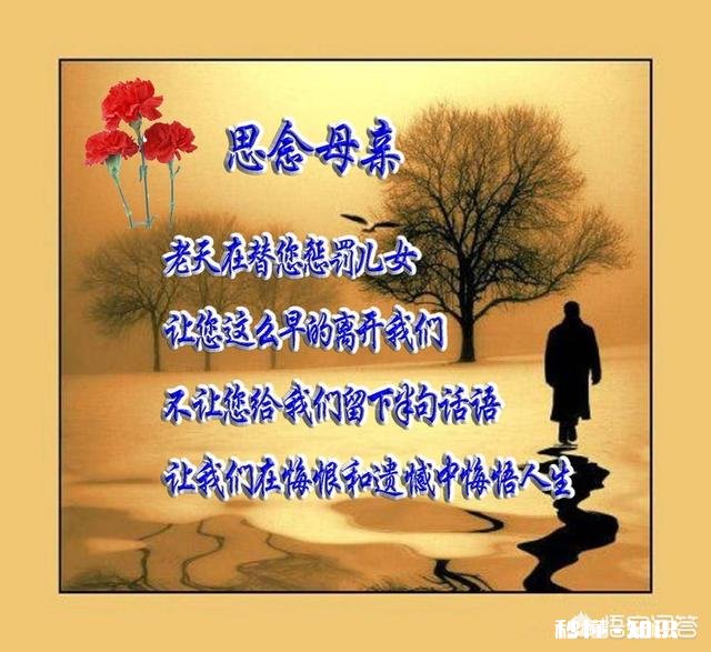 在人生短短几十年中，你最难忘的经历是什么