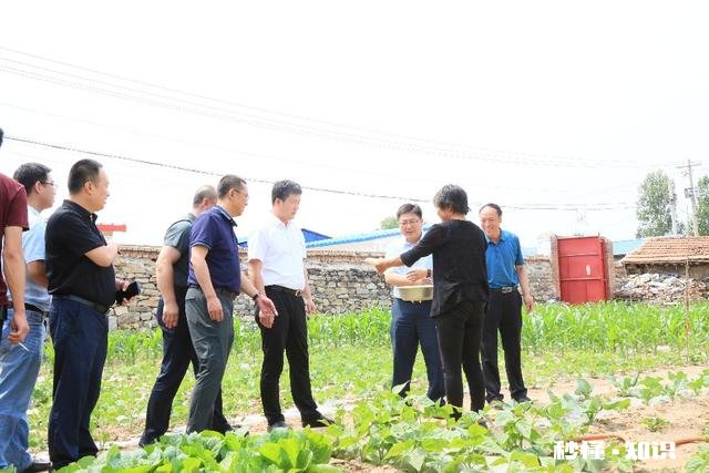 在农村只有两个小院,如何充分利用院子种植来维持生活