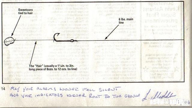 各位钓鱼高手，钓鱼时候有小杂鱼闹窝，应该怎么办呢