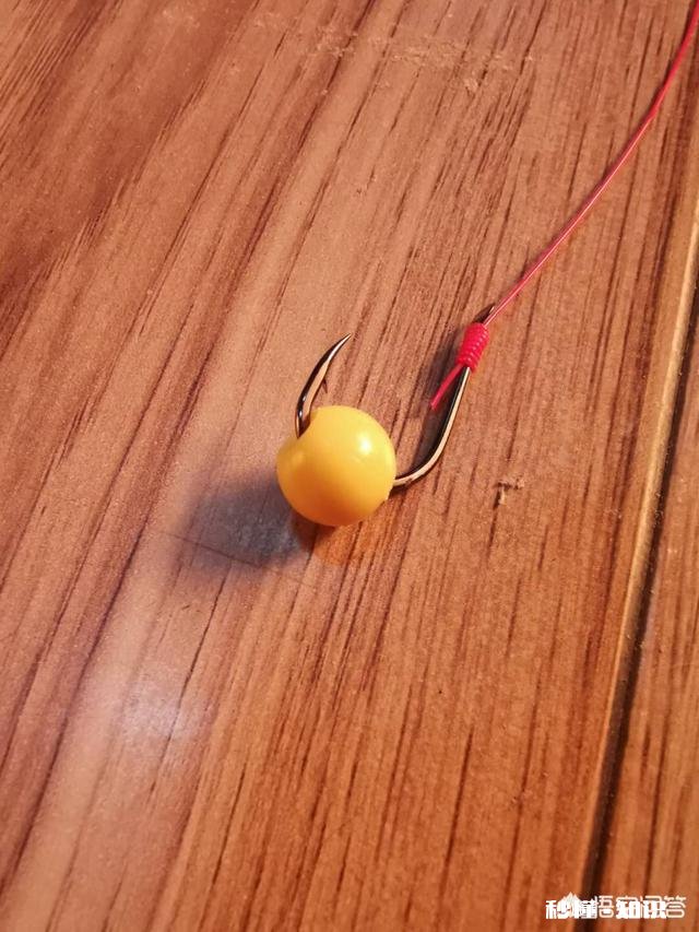 各位钓鱼高手，钓鱼时候有小杂鱼闹窝，应该怎么办呢