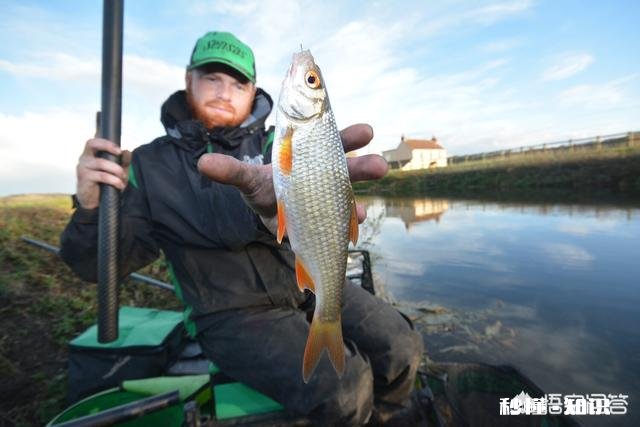 各位钓鱼高手，钓鱼时候有小杂鱼闹窝，应该怎么办呢