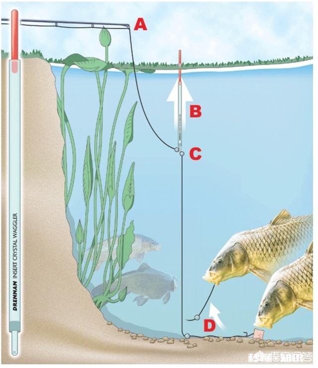 各位钓鱼高手，钓鱼时候有小杂鱼闹窝，应该怎么办呢