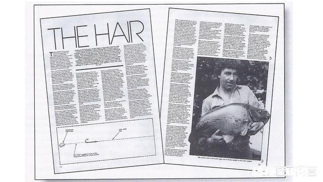 各位钓鱼高手，钓鱼时候有小杂鱼闹窝，应该怎么办呢