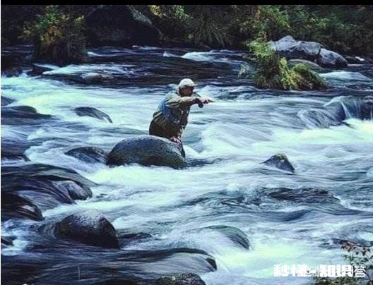 急流水怎么打窝