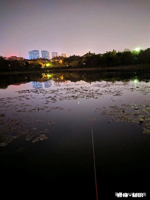 夜钓上瘾吗你有过夜钓的经历吗