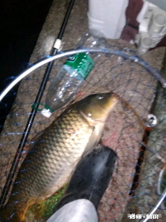 夜钓上瘾吗你有过夜钓的经历吗