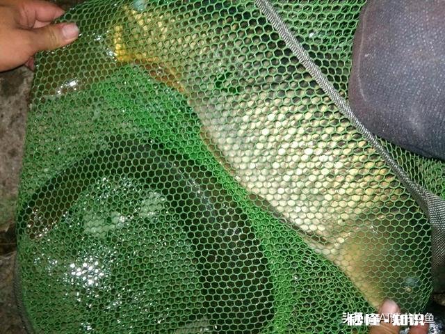 夜钓上瘾吗你有过夜钓的经历吗