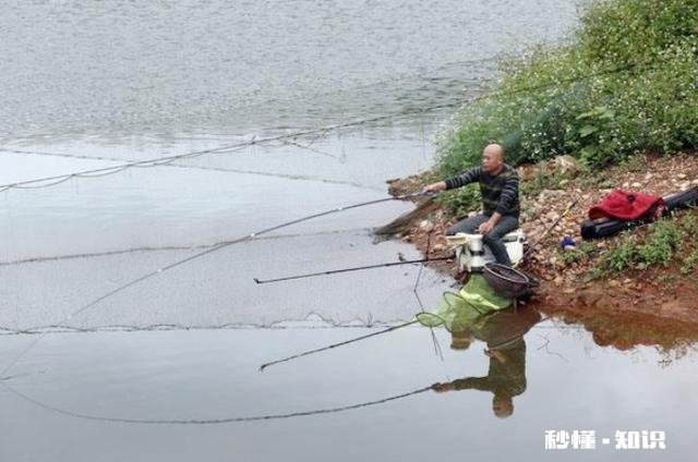 深秋如何钓大板鲫