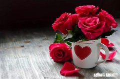 放开二胎后，丈人执意要生二胎并跟他们姓，该怎么办