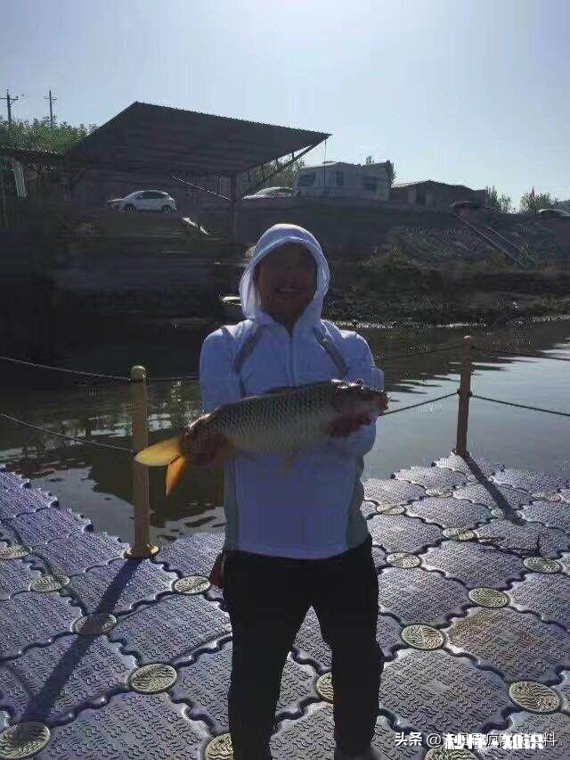 调平水钓二目子线多长